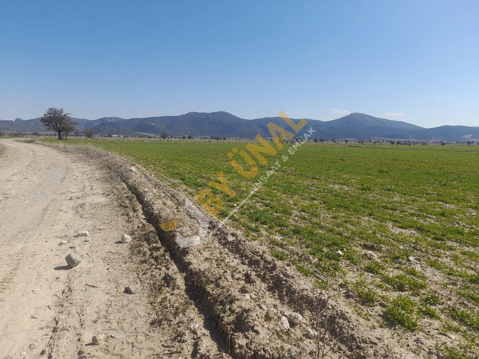 BY ÜNAL'DAN KORKUTELİ ÇOMAKLI'DA SATILIK 5433M2 TEK TAPULU TARLA